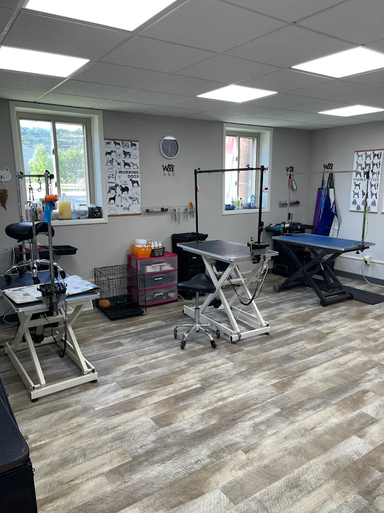 Wash Wag Dog Wash & Grooming